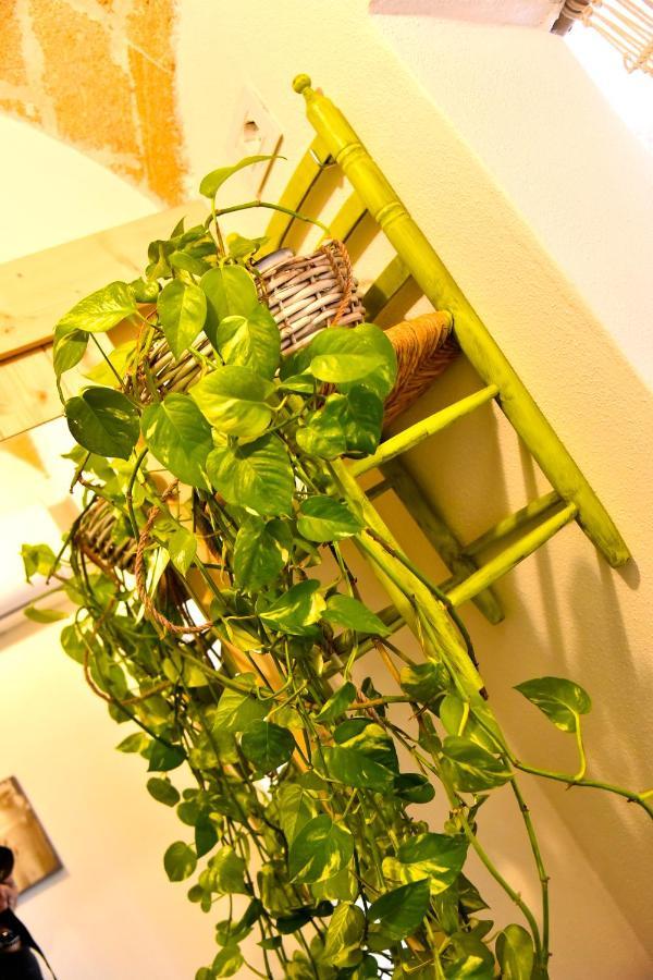 La Chicca Di Ste Villa กัลลีโปลี ภายนอก รูปภาพ